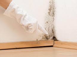 Best Mold Prevention Services  in Deridder, LA